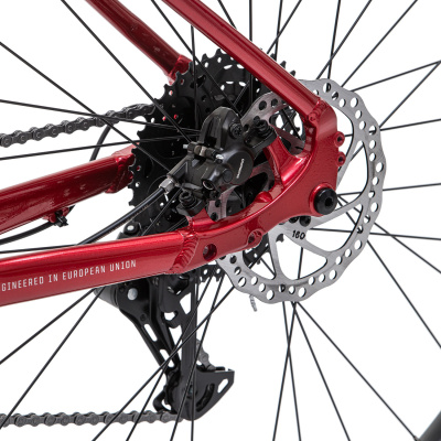 Велосипед горный Welt Icon 1.0 29 Fast Red от магазина Адреналин